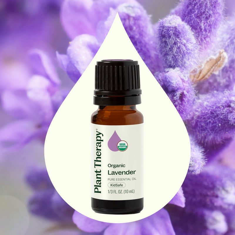 Plant Therapy Organic Lavender Essential Oil 100% Pure, USDA Certified Organic, Undiluted, Natural Aromatherapy, Therapeutic Grade 10 mL (1/3 oz) - Image 3